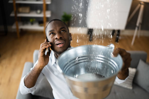 Best Water damage restoration near me  in Schererville, IN