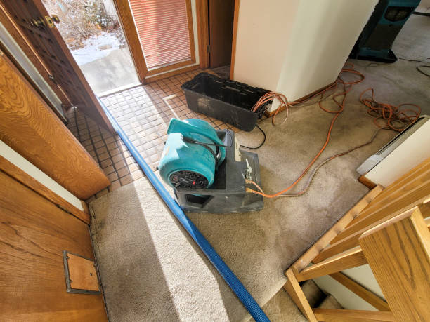  Schererville, IN Water damage restoration Pros