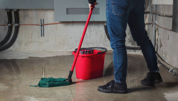 Best Water damage cleanup near me  in Schererville, IN