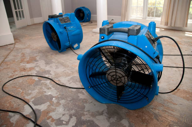 Best Water damage restoration process  in Schererville, IN
