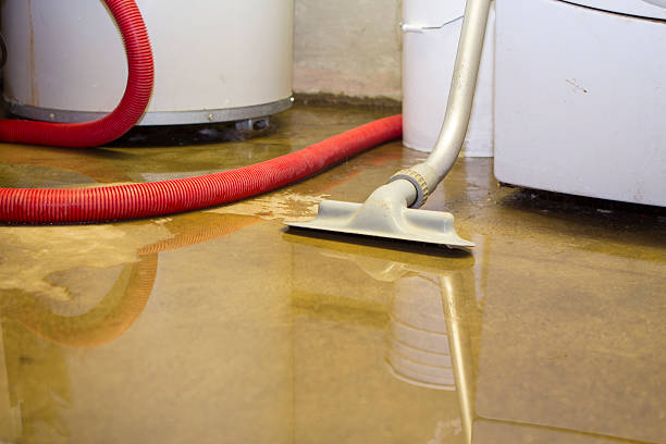 Best Commercial water damage restoration  in Schererville, IN