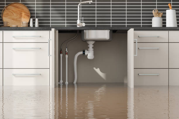Best Flood damage cleanup  in Schererville, IN