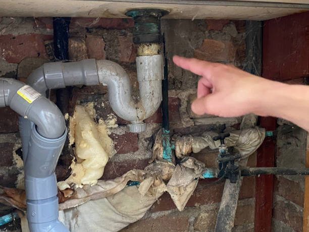 Best Sewage cleanup and water damage restoration  in Schererville, IN
