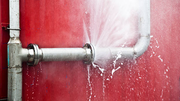 Best Flooded house restoration  in Schererville, IN